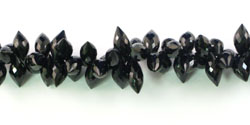 bsp 978