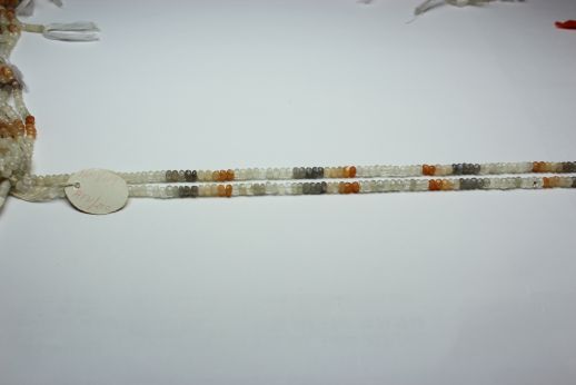 LGN/119