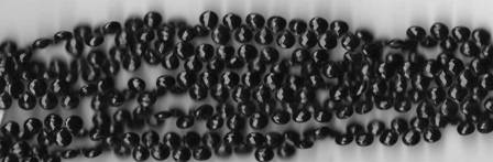 LG-BSP1