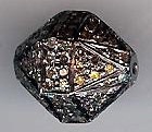 NBL-4497